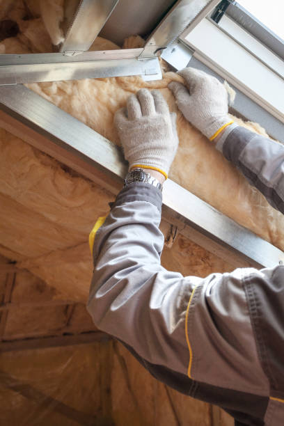 Types of Insulation We Offer in Hayneville, AL
