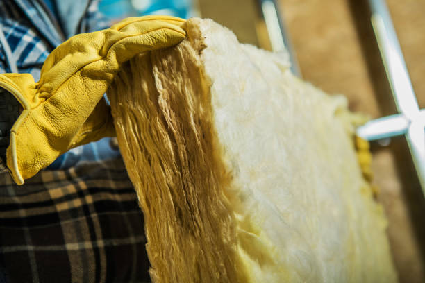 Best Insulation Maintenance and Repair in Hayneville, AL