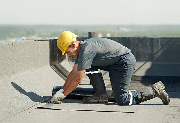 Best Geographic-Specific Insulation Services in Hayneville, AL