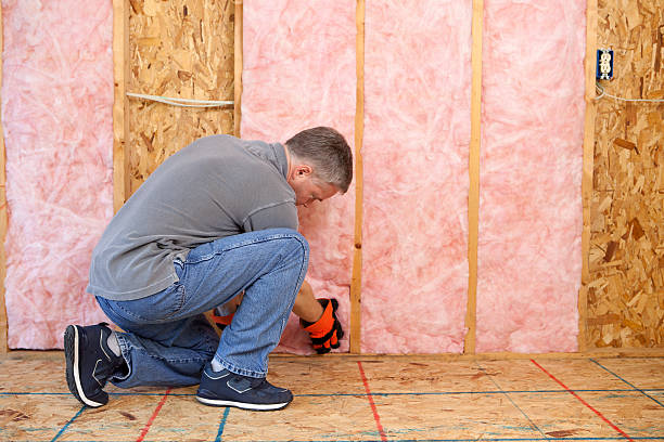 Best Spray Foam Insulation in Hayneville, AL